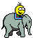 SAFARI.gif