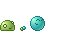 ragdoll